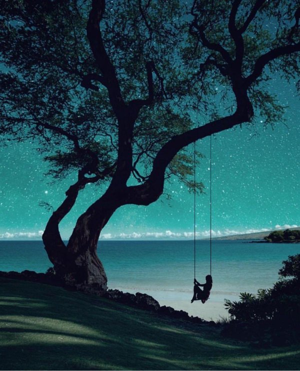 качели ночью