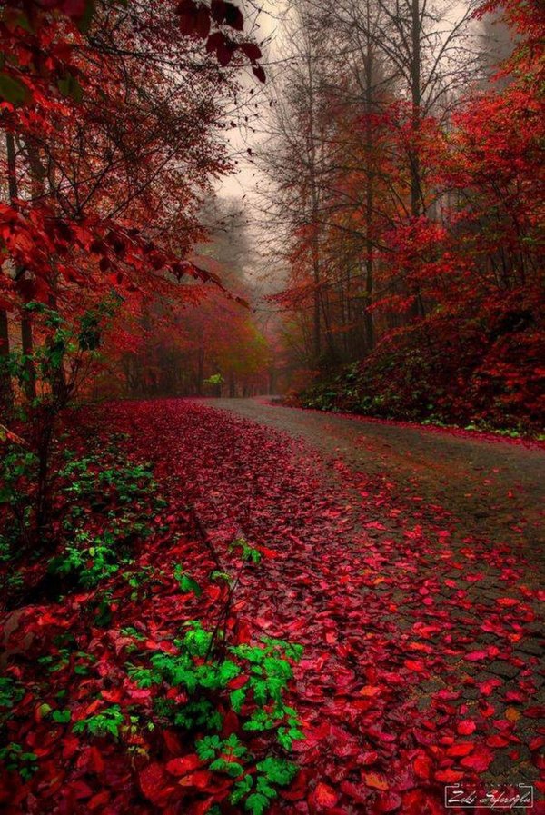 На аватарку природа