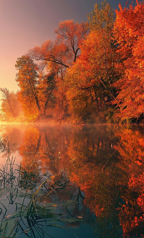 пейзажи осенние