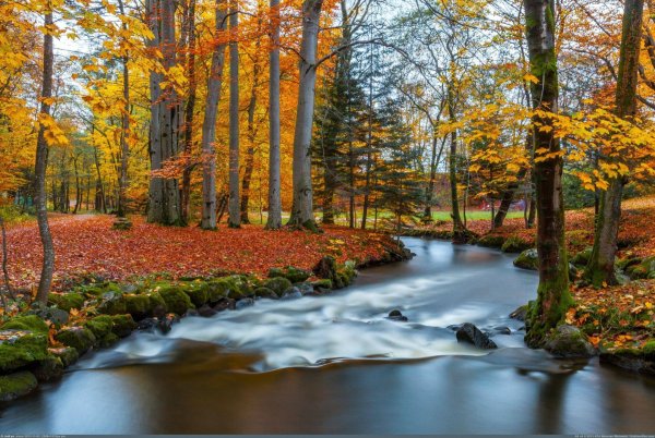 осенняя природа