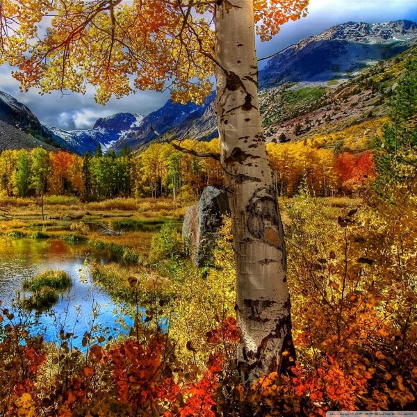 осенняя природа