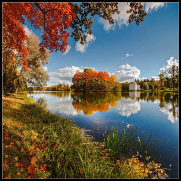 осенние пейзажи