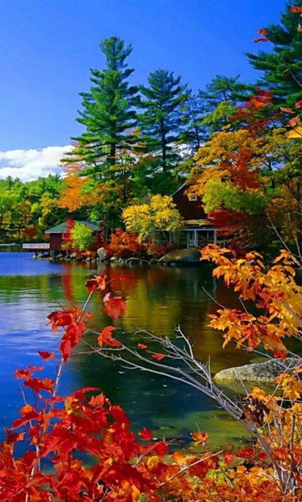 природа осени