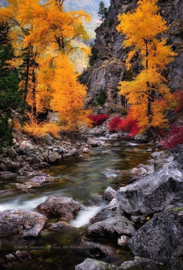 осенние пейзажи