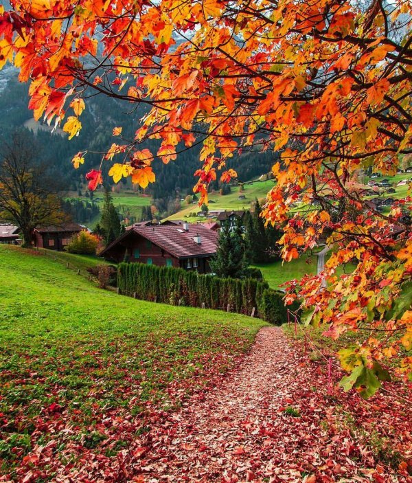 осенние пейзажи
