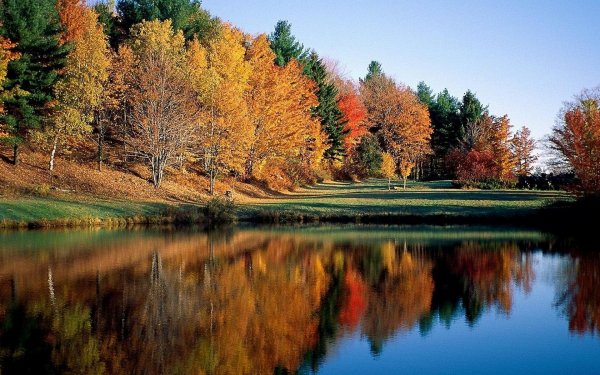 природа осенняя