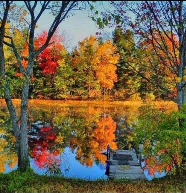 осенние пейзажи