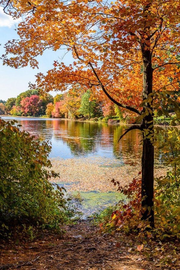 природа осенью