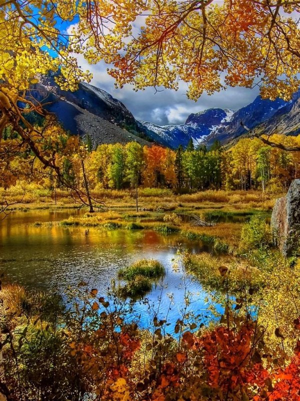 природа осенняя