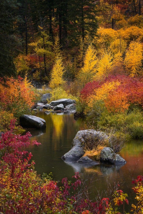 природа осенняя