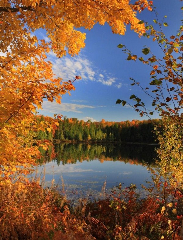 осенние пейзажи