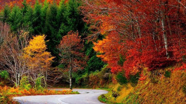 осенняя дорога