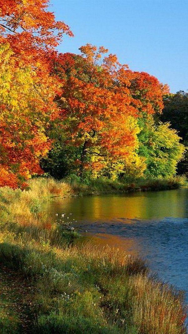 осенние пейзажи