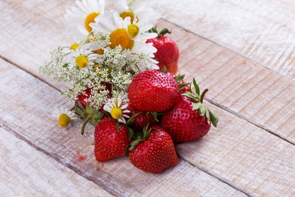 клубника сорт сара