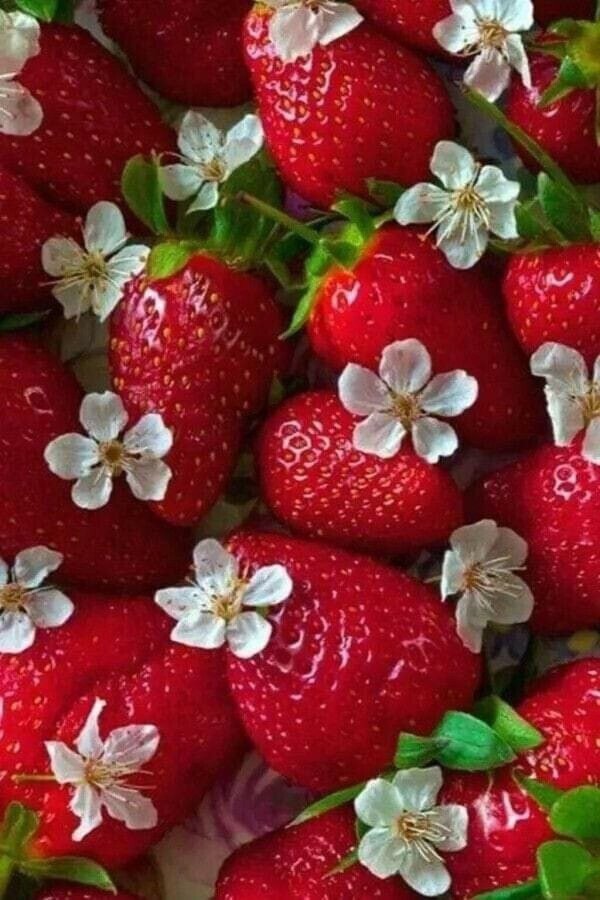 клубника сочная