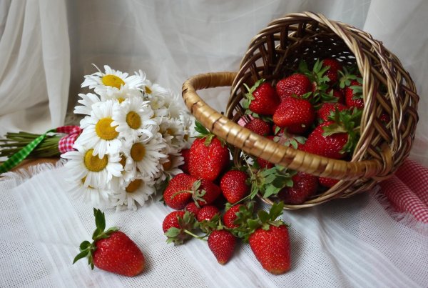 лето ягоды цветы