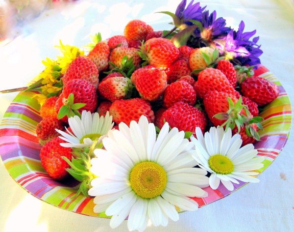 летние букеты