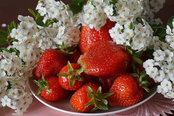 клубника стравберри