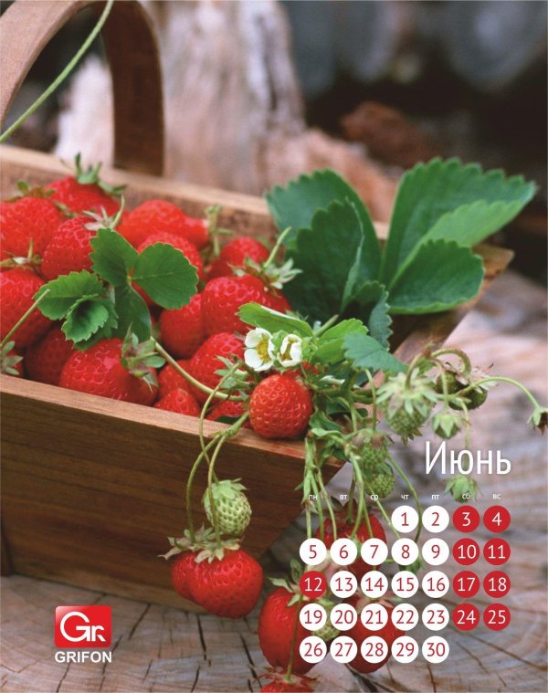 семена клубники чудо ягодница