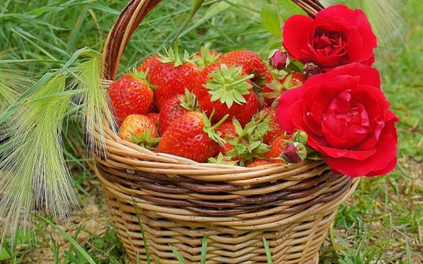 земляника садовая душистое лукошко