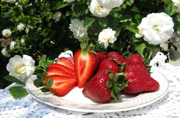 клубника свежая