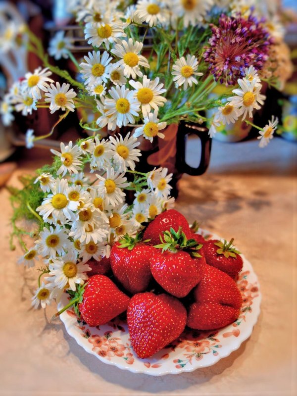 доброго утра с ромашками