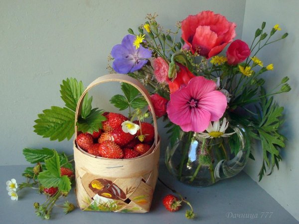 земляника душистое лукошко аэлита