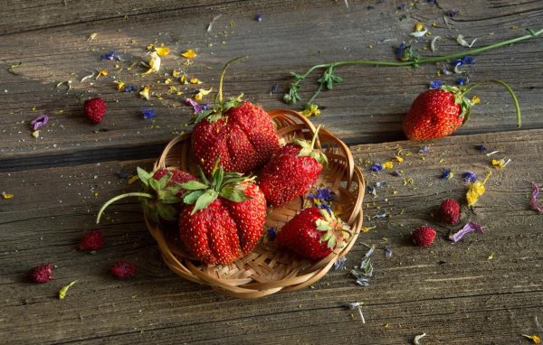 ягода клубника