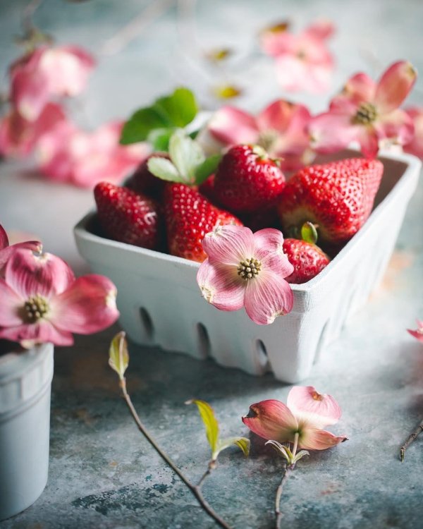 клубника сорт