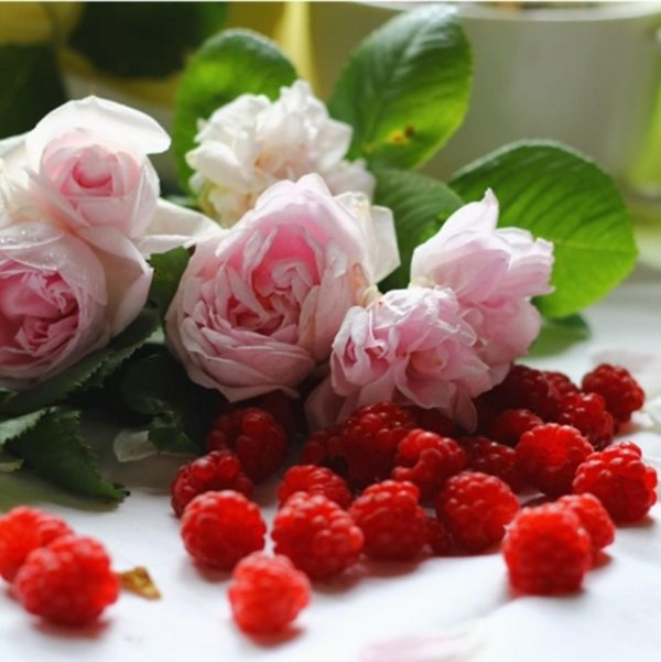 малина и цветы