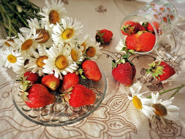 доброе утро земляника