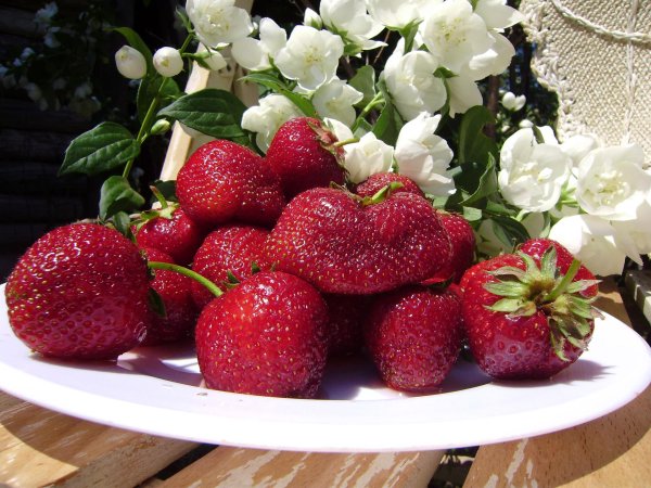 клубника крупная