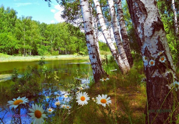 фотопейзажи сергея краева