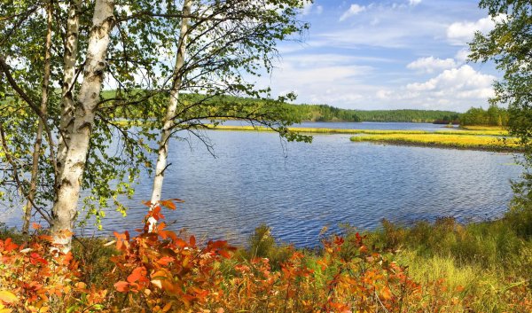 озеро березовое березово