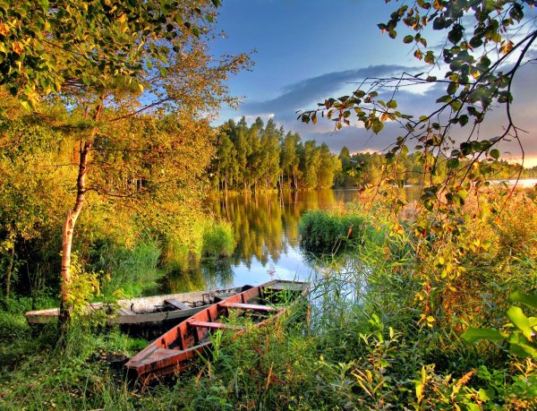 озера шатура осенью