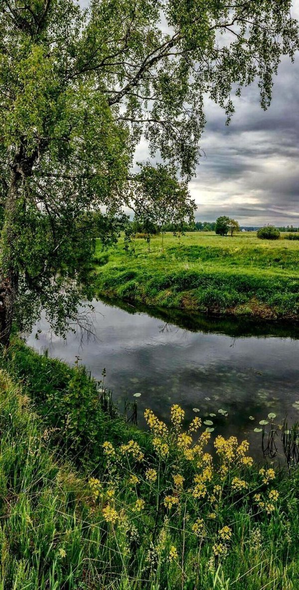 летние пейзажи