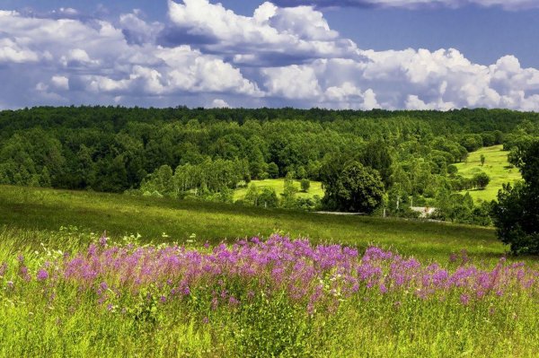 луга татарстана