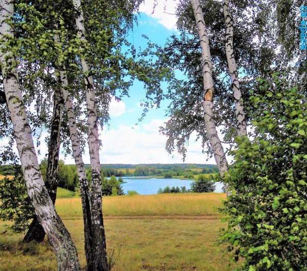 волга река березка