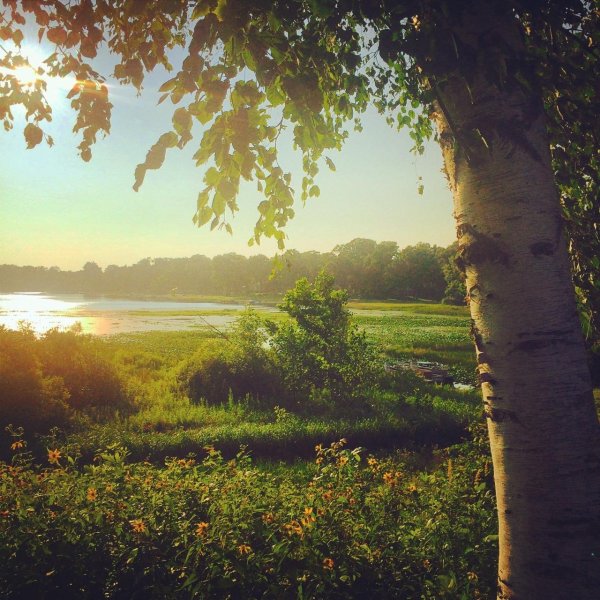 сергей есенин с добрым утром