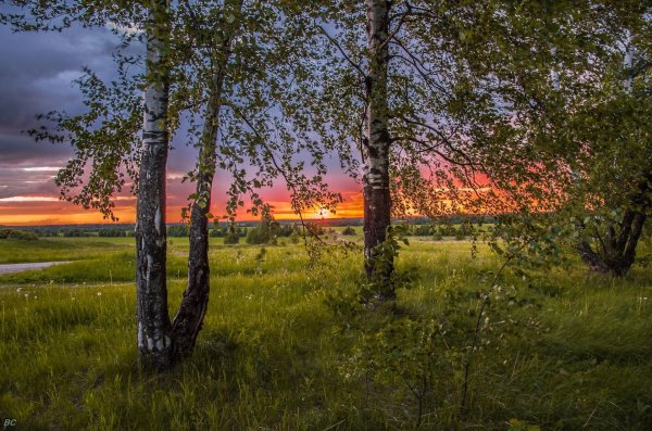 красота русской природы