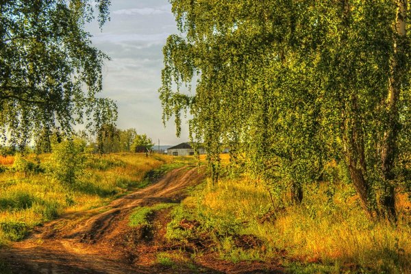 россия русь березки тополя