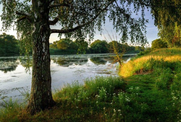 сергей есенин с добрым утром