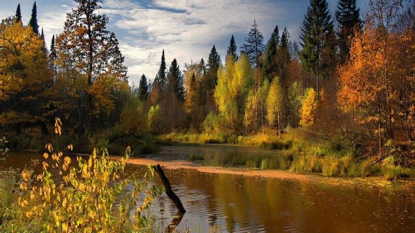 осенние пейзажи