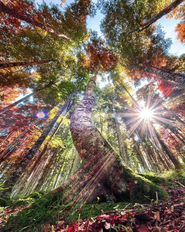 красота природа