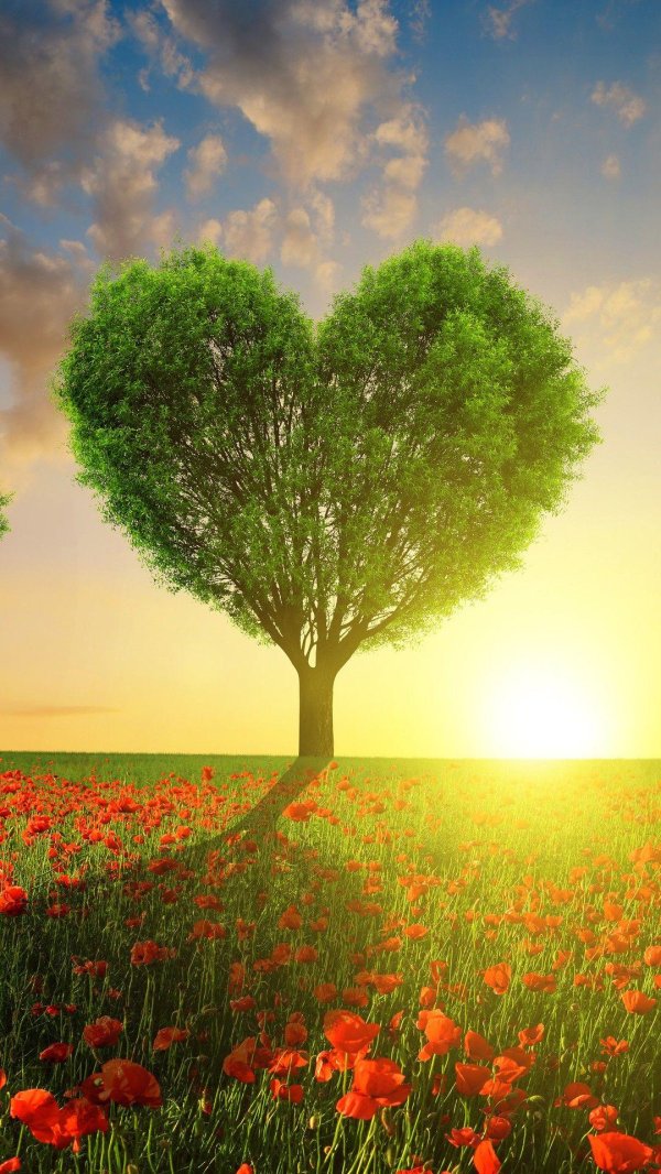 любовь природа