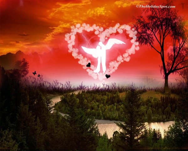 свет ангелов