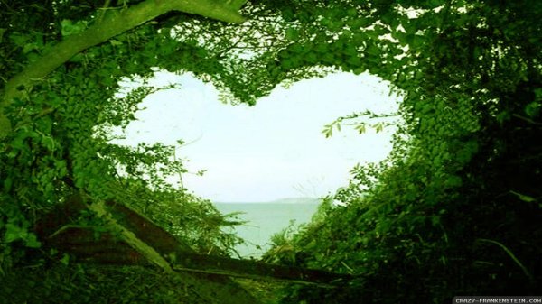nature heart