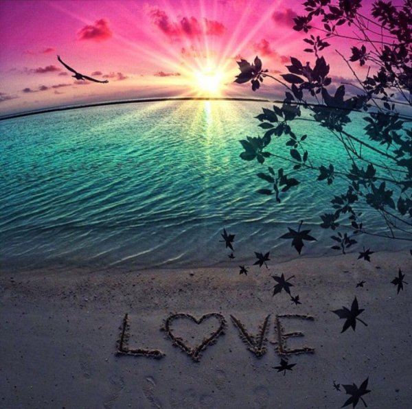 лето красивое