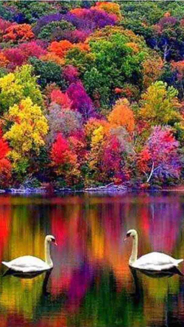 осенние пейзажи