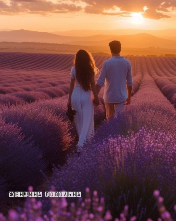 крым лавандовое поле